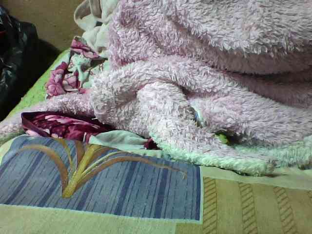 seths webcam