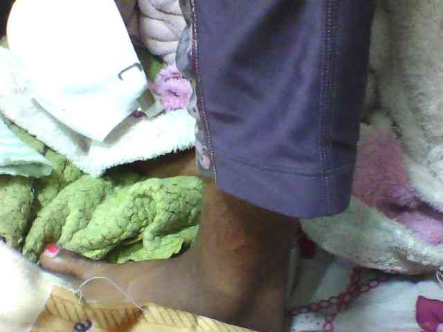 seths webcam
