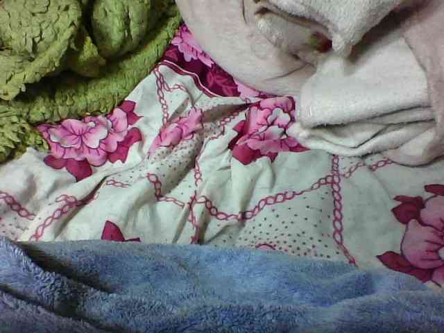 seths webcam