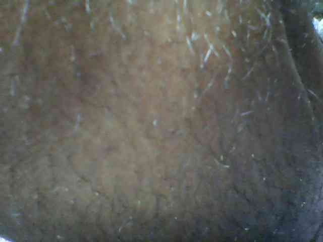seths webcam