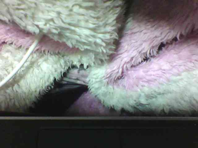 seths webcam