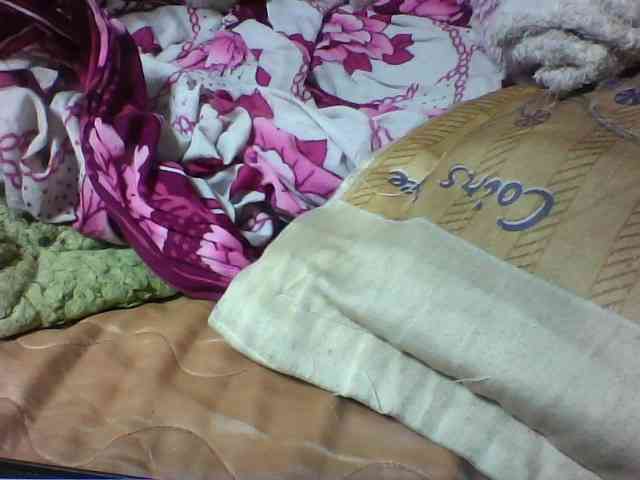 seths webcam
