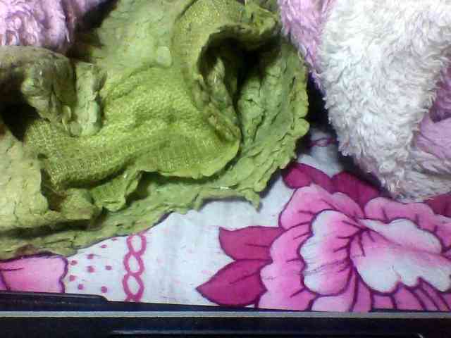 seths webcam