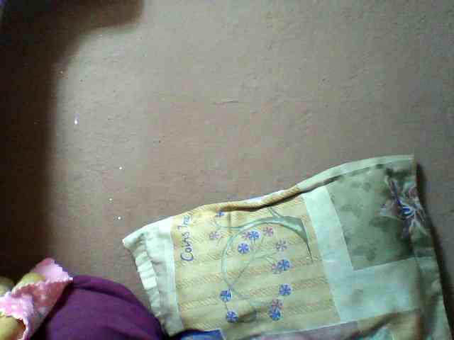 seths webcam
