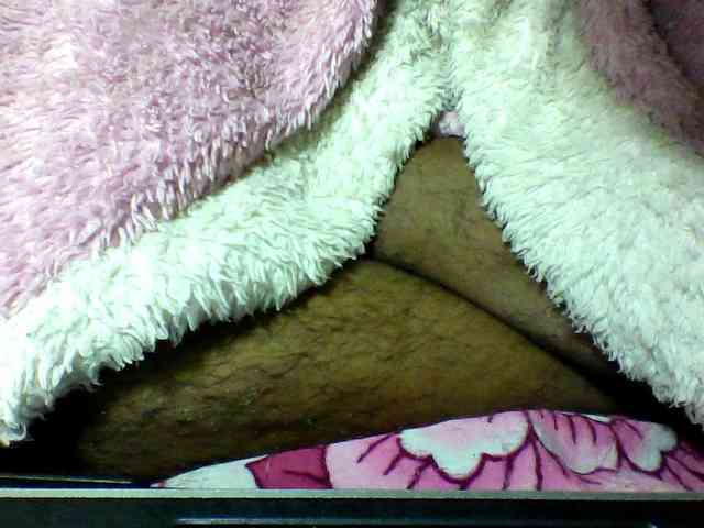 seths webcam