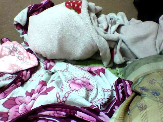 seths webcam