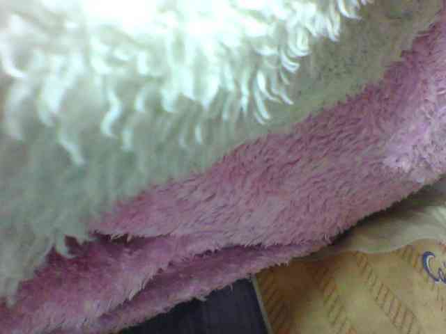 seths webcam