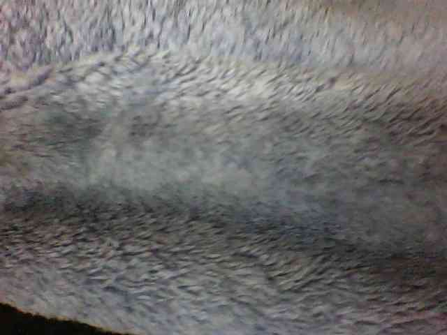seths webcam