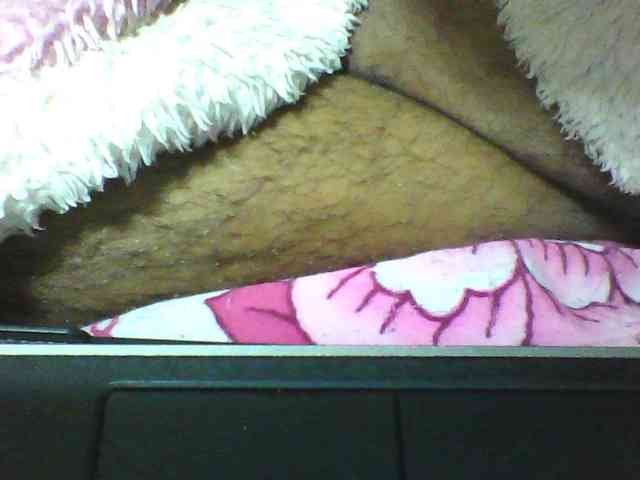 seths webcam