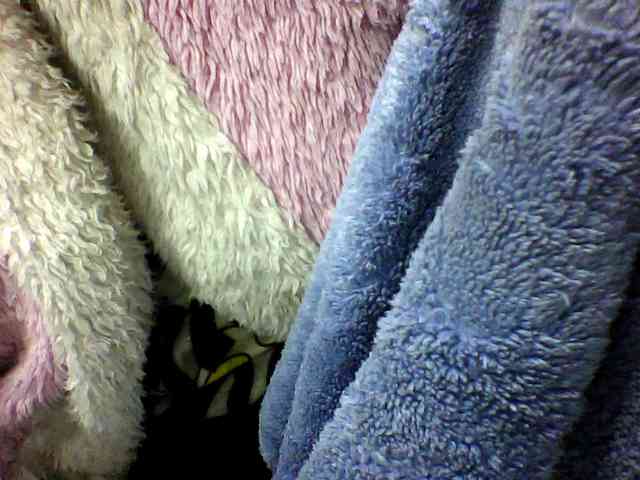 seths webcam
