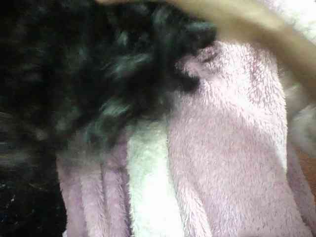 seths webcam