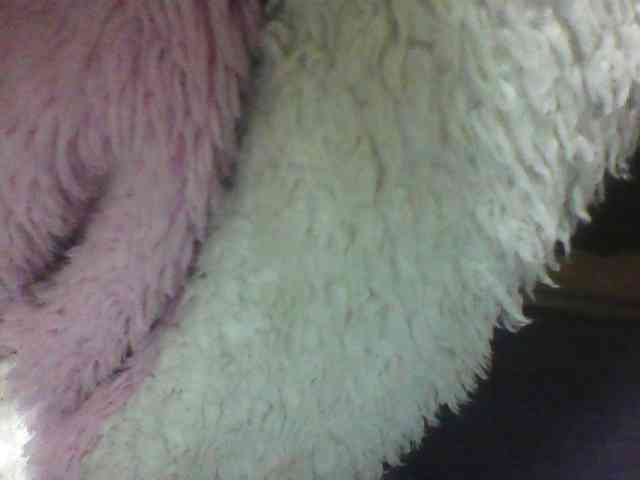 seths webcam