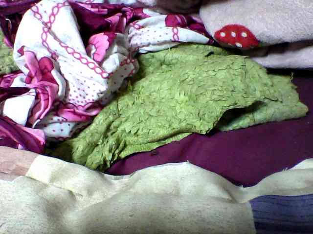 seths webcam