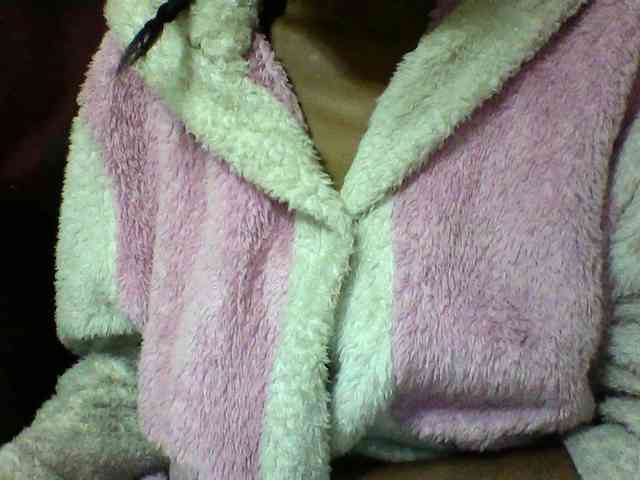 seths webcam
