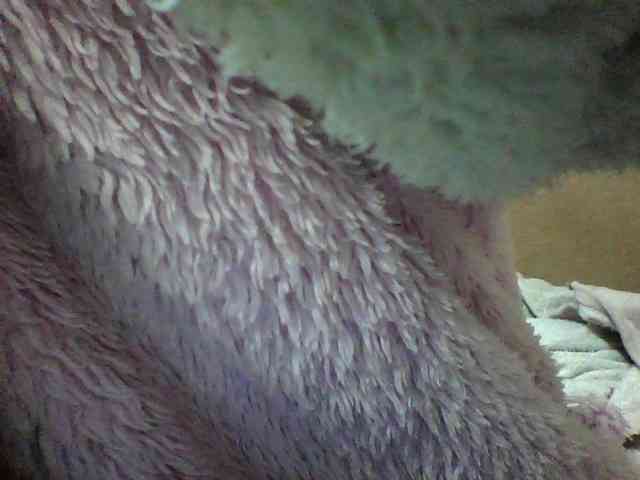 seths webcam