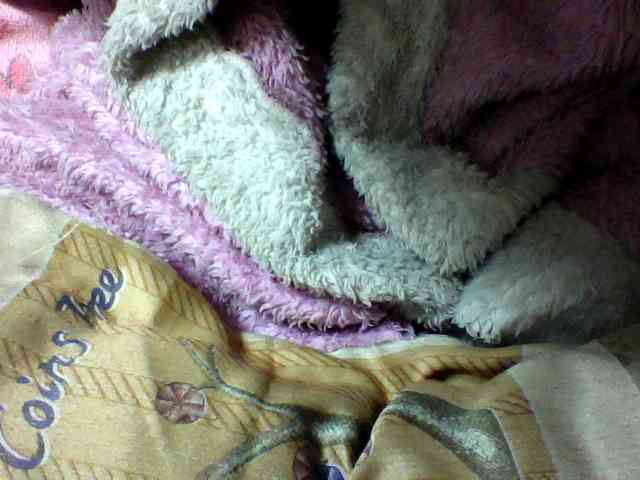 seths webcam