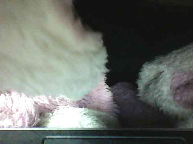 seths webcam