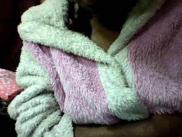 seths webcam
