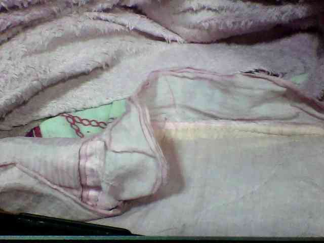 seths webcam