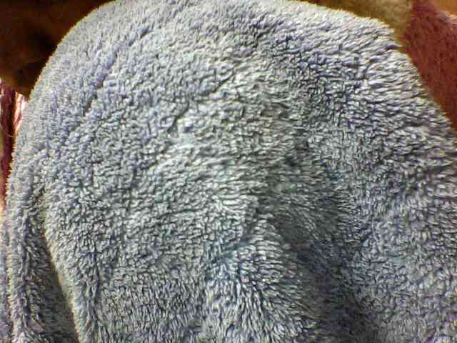 seths webcam