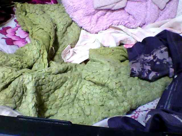 seths webcam
