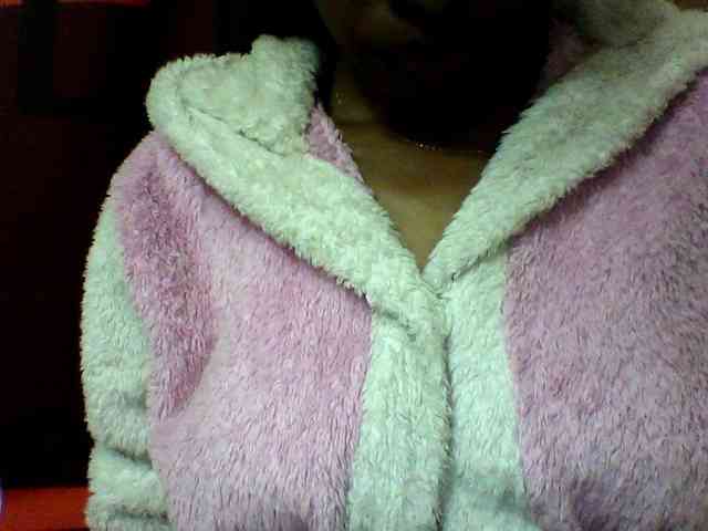 seths webcam