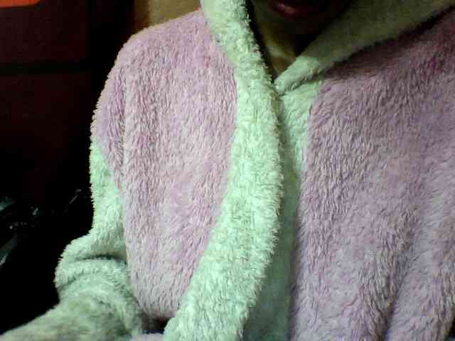 seths webcam