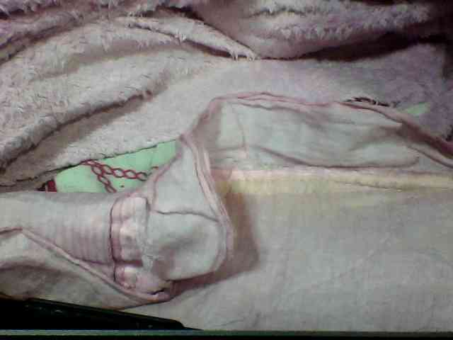 seths webcam