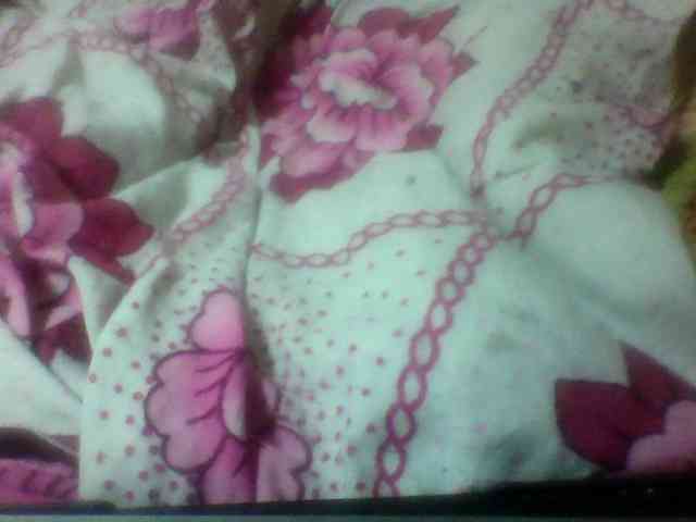 seths webcam