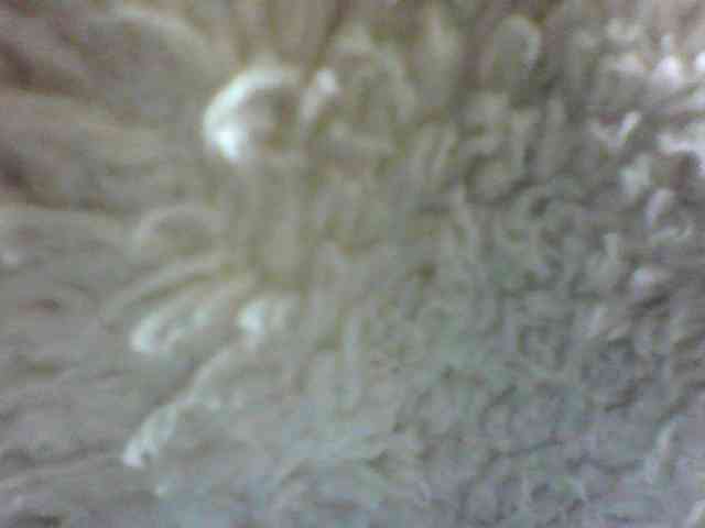 seths webcam