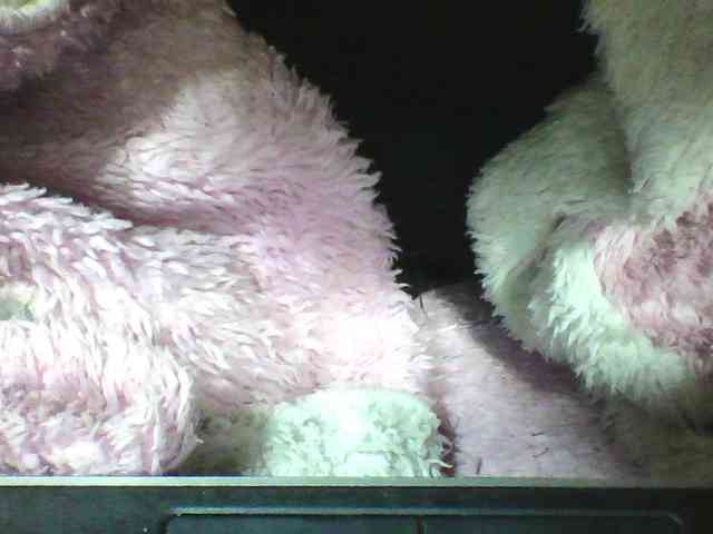 seths webcam