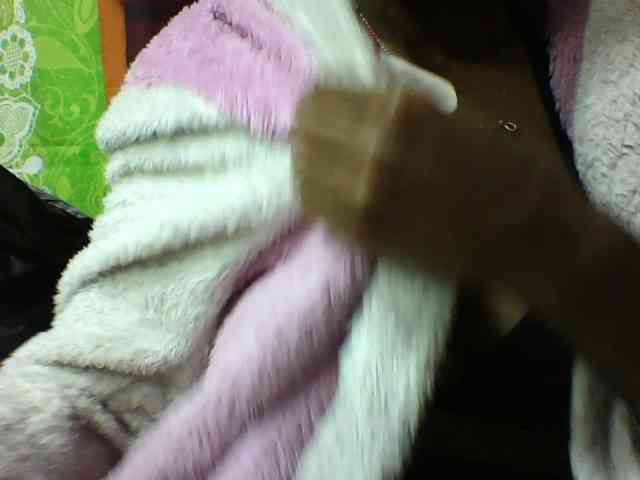 seths webcam
