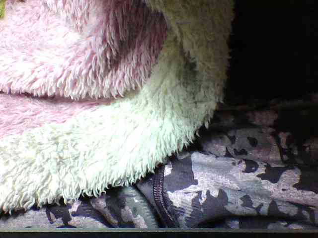 seths webcam