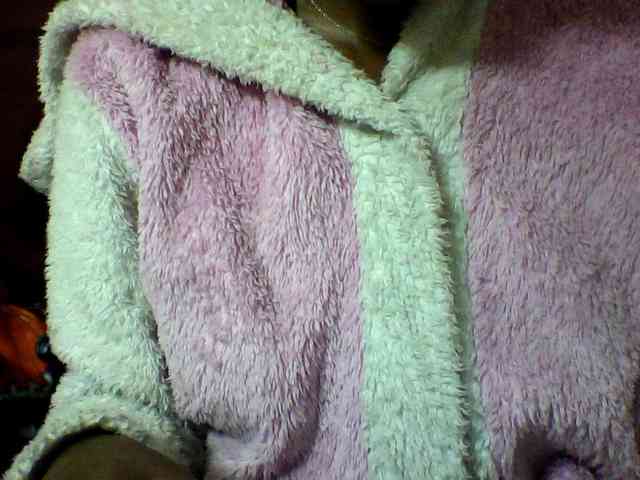 seths webcam