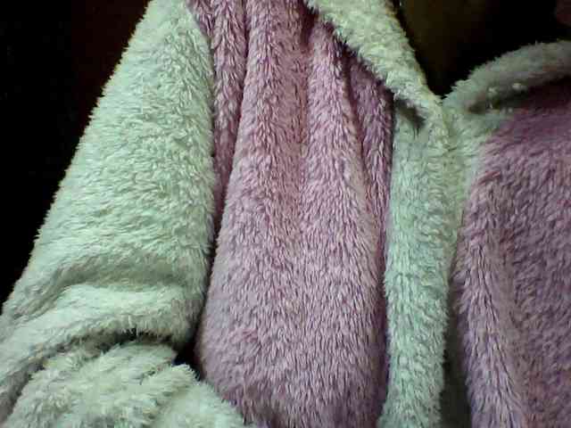 seths webcam