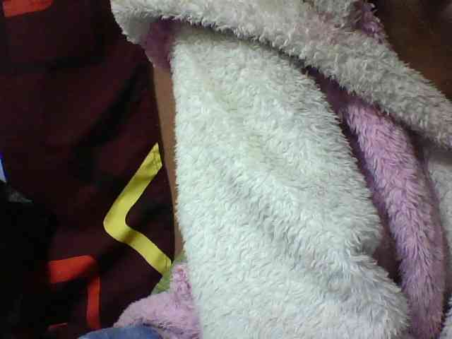 seths webcam