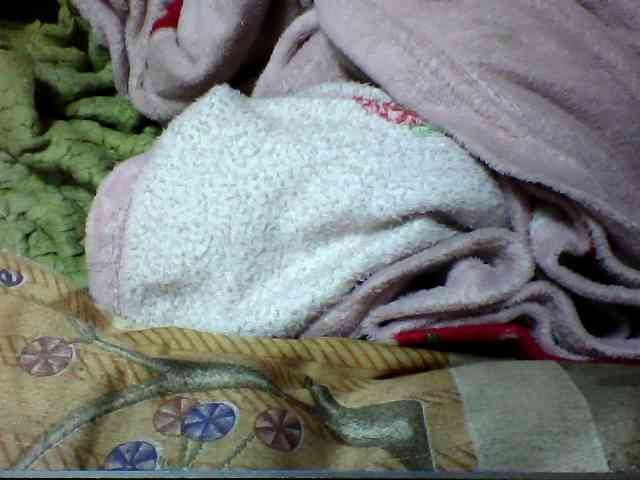 seths webcam