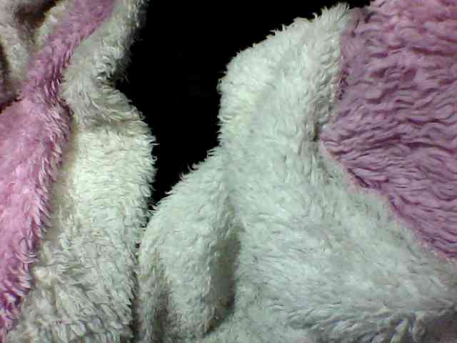 seths webcam