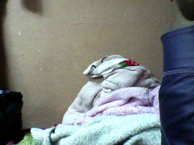 seths webcam