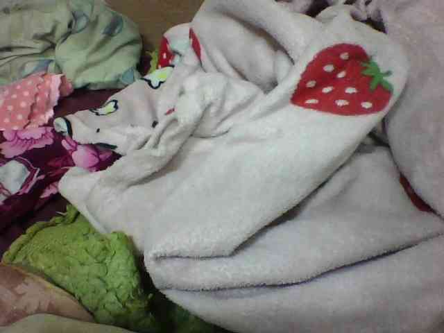 seths webcam