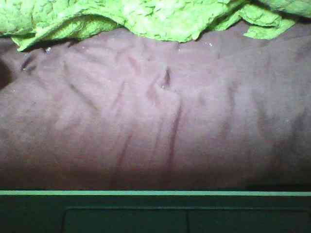 seths webcam