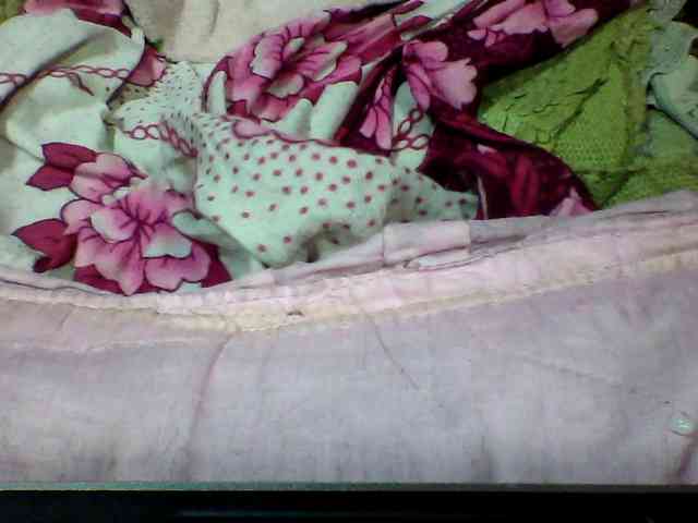 seths webcam