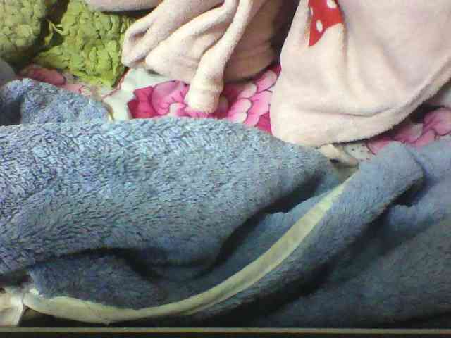 seths webcam