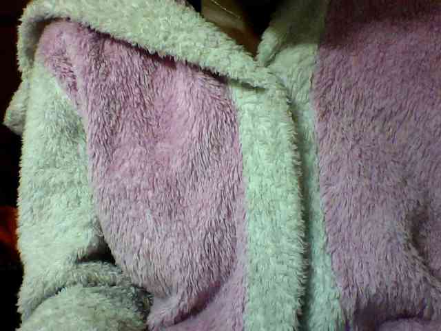 seths webcam
