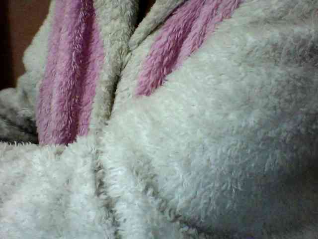 seths webcam