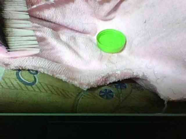 seths webcam