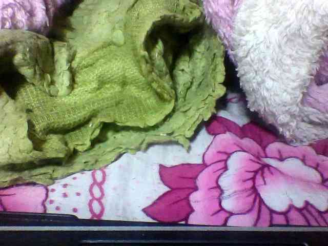 seths webcam