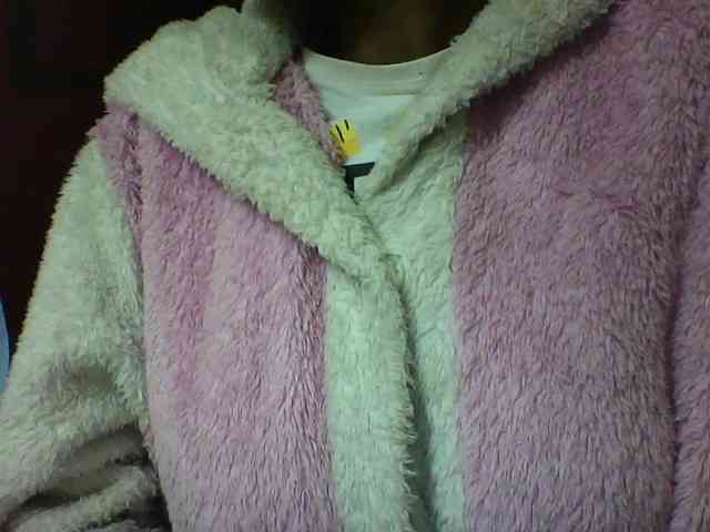 seths webcam