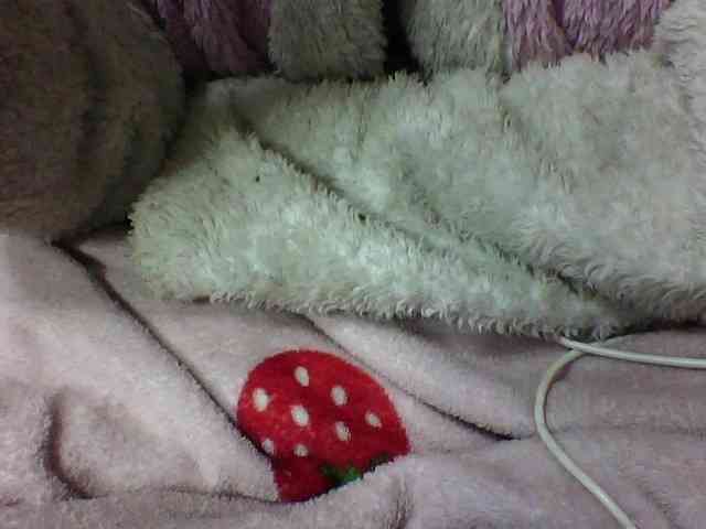 seths webcam