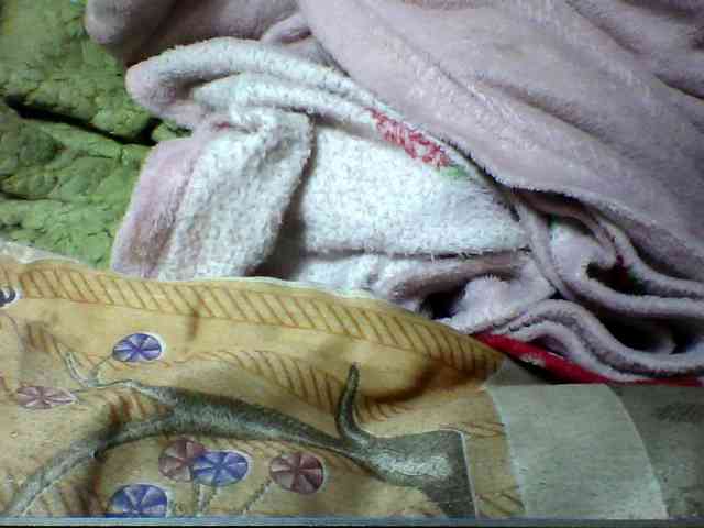 seths webcam